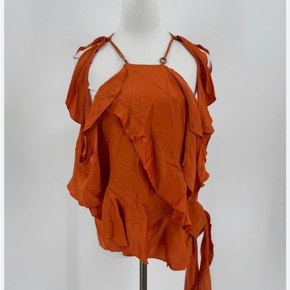 🍊🆕Zara Limited edition burnt orange exotic ruffle top S - Picture 3 of 5